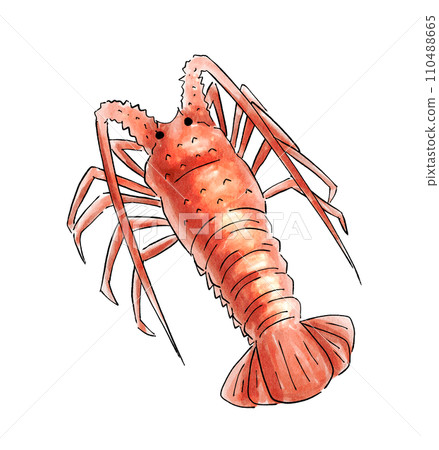 Ise lobster watercolor style 110488665