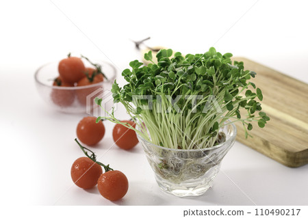 新鮮蘿蔔和番茄 新鮮蘿蔔和番茄 110490217