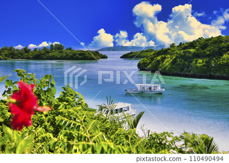 Beautiful coral reef sea in Kabira Bay 110490494