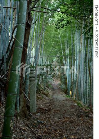 172 Town Stone和Koyasan Town Stone Road [和歌山縣工藤山町] 110490642