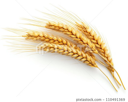 Golden Ear of Wheat Isolated on White Background. Generative ai 110491369