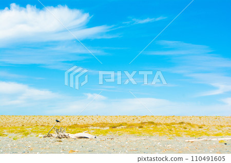Nakatajima Sand Dunes and Blue Sky 110491605