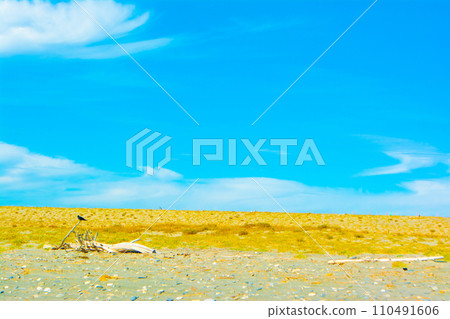 Nakatajima Sand Dunes and Blue Sky Nakatajima Sand Dunes and Blue Sky 110491606