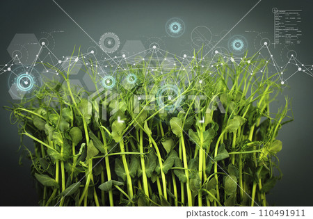 Agricultural technologies for growing plants and scientific research in the field of biology and chemistry of nature. Living green sprouts. Organic digital background 110491911