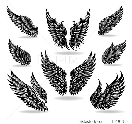 Collection of vector wings the style of engraving 110491934