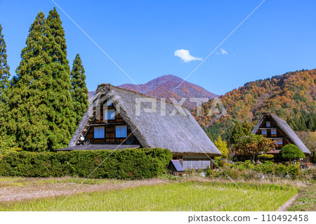 Shirakawa-go, a world heritage site dyed in autumn colors, Shirakawa-mura, Gifu Prefecture Shirakawa-go, a world heritage site dyed in autumn colors, Shirakawa-mura, Gifu Prefecture 110492458