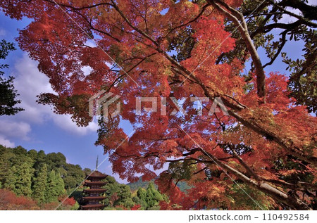 京都西部山口國寶琉璃光寺五層塔 110492584