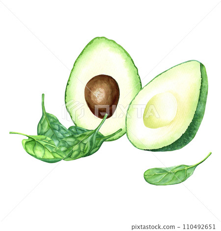 Watercolor spinach and avocado fruit composition. Hand drawn food illustration isolated on white background. For clip art cards menu label package 110492651