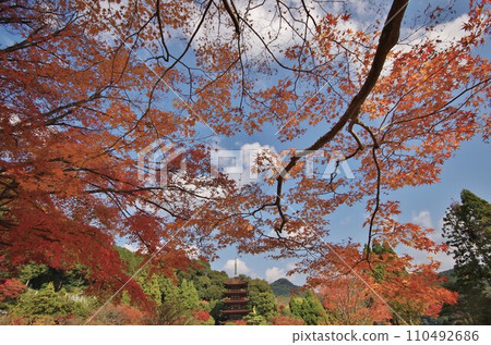 京都西部山口國寶琉璃光寺五層塔 京都西部山口國寶琉璃光寺五層塔 110492686
