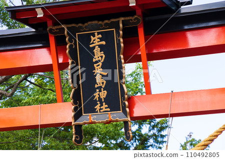 Spring in Ueda City, Nagano Prefecture, Ikushima Ashijima Shrine in the middle of Japan with fresh greenery 110492805