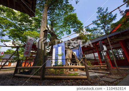 Spring in Ueda City, Nagano Prefecture, Ikushima Ashijima Shrine in the middle of Japan with fresh greenery 110492814