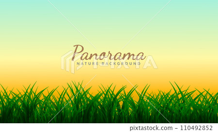 Twilight sky behind the grassy fields. Sunset scenery background design Twilight sky behind the grassy fields. Sunset scenery background design 110492852