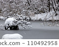 Tree with snow 110492958