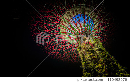 Supertree Grove at Gardens by the Bay at night 110492976