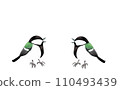 Two great tits sideways 110493439