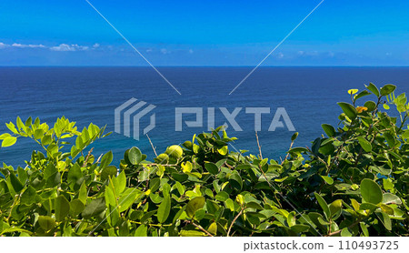 印度尼西亞巴厘島烏魯瓦圖的海洋和植物 110493725