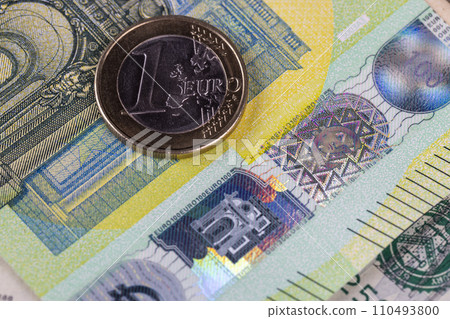 euro banknotes of the European Union close-up 110493800