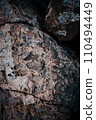 Light granite rock texture concept photo. Mountain rough surface. Close up stone background 110494449