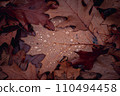 Wet oak leaves on the ground in rainy forest concept photo. Autumn atmosphere image. 110494458