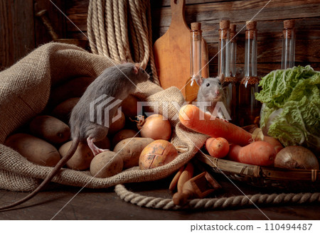 Rats on a table with vegetables. Rats on a table with vegetables. 110494487