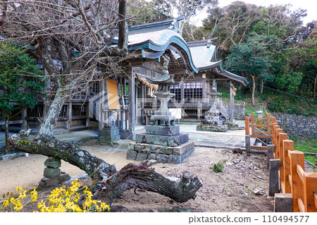 Tajima Shrine on Kabe Island overlooking the Genkai Sea (Yubuko Town, Karatsu City, Saga Prefecture) Tajima Shrine on Kabe Island overlooking the Genkai Sea (Yubuko Town, Karatsu City, Saga Prefecture) 110494577