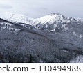 Landscape of the snowy mountain in winter with snowy forest. Foggy grey cloudy weather without sun. 110494988