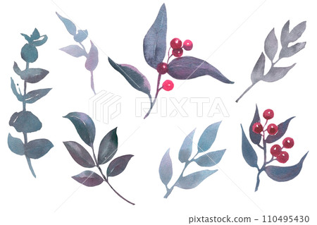 Set vintage watercolor elements of leaves, illustration isolated on white background, eucalyptus, herbs, bud, red berries and leaves 110495430