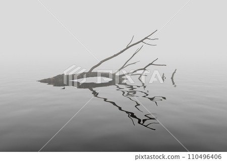Branch on the water Branch on the water 110496406
