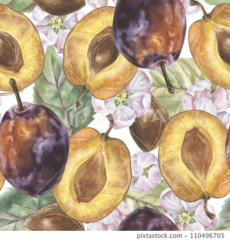 Plum seamless Pattern. Watercolor illustration of prune. Hand drawn on isolated white background. Botanical painting of fruit with spring flowers. Drawing of food ornament for fabrics and textiles 110496705