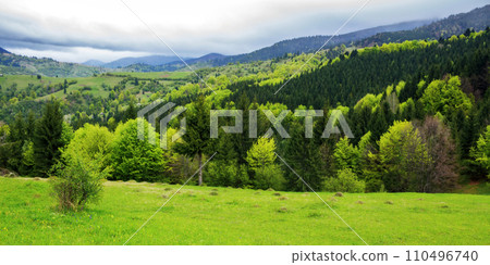 carpathian countryside scenery with forested mountains. green grassy meadow on the hills. cloudy weather in springtime carpathian countryside scenery with forested mountains. green grassy meadow on the hills. cloudy weather in springtime 110496740