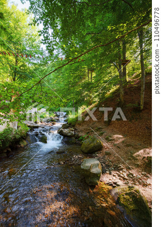shypit water stream of pylypets river in the beech forest of carpathian mountains. scenery with small cascades and stones. sunny morning in summer shypit water stream of pylypets river in the beech forest of carpathian mountains. scenery with small cascades and stones. sunny morning in summer 110496778