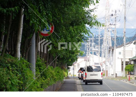 Traffic image: Road sign hidden by trees 110497475