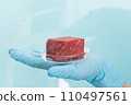 Lab grown meat concept - meat in petri dish 110497561
