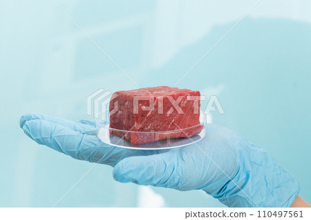 Lab grown meat concept - meat in petri dish 110497561