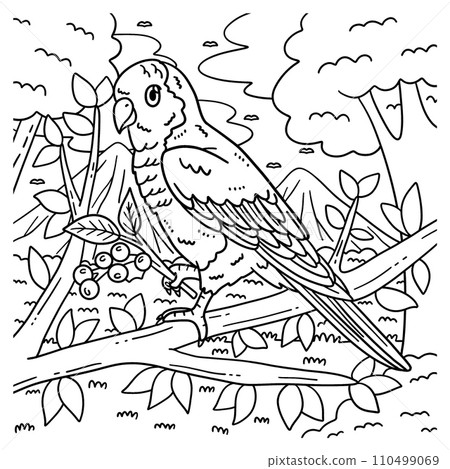 Monk Parakeet Bird Coloring Page for Kids 110499069
