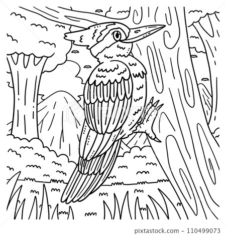 Woodpecker Bird Coloring Page for Kids 110499073