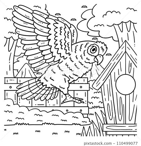 Amazon Parrot Bird Coloring Page for Kids 110499077
