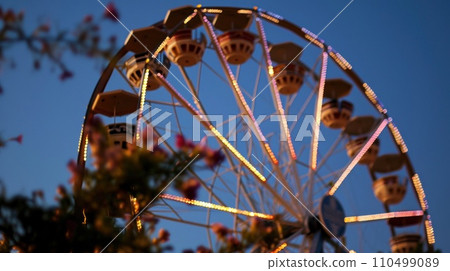Ferris Wheel in Full Bloom 110499089