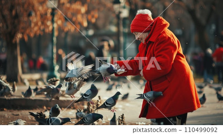 old woman feeds pigeons in park 110499092