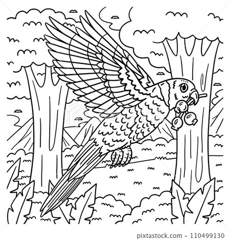 Loriini Bird Coloring Page for Kids 110499130