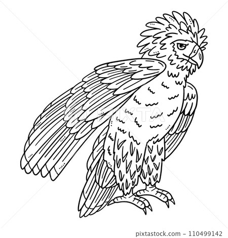 Philippine Eagle Isolated Coloring Page for Kids 110499142