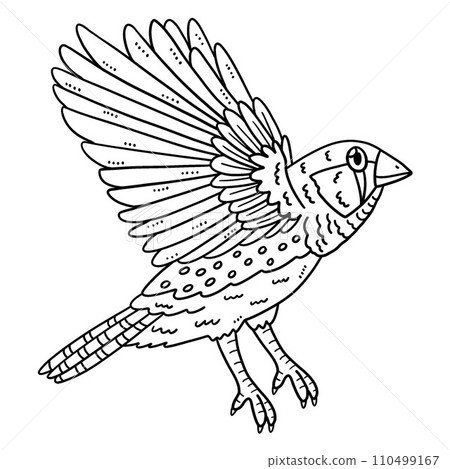 Finch Bird Isolated Coloring Page for Kids Finch Bird Isolated Coloring Page for Kids 110499167