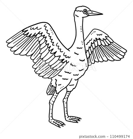 Crane Bird Isolated Coloring Page for Kids 110499174