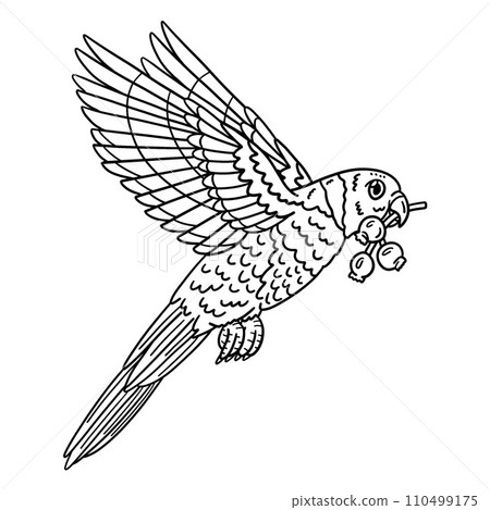 Loriini Bird Isolated Coloring Page for Kids 110499175