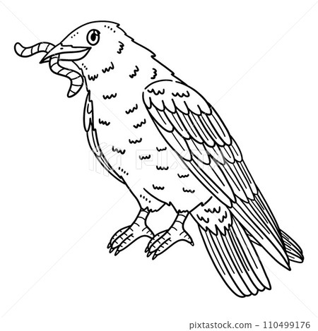 Crow Bird Isolated Coloring Page for Kids Crow Bird Isolated Coloring Page for Kids 110499176