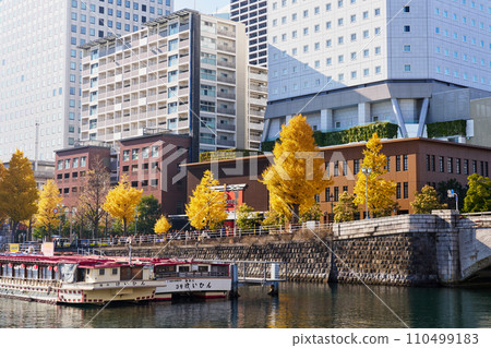 Cityscape Yokohama Minato Mirai Bankokubashi Street during the autumn leaves season 110499183