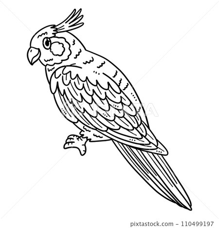 Cockatiel Bird Isolated Coloring Page for Kids 110499197