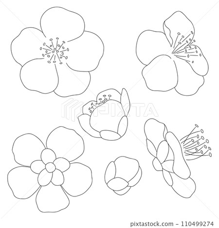 Plum blossom hand drawn line drawing parts set 110499274