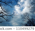 Winter sky 110499279