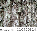 Skin 110499314